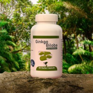 1pcs Ginkgo Biloba ব্রেইনের রক্ত সঞ্চালন বাড়িয়ে মনোযোগ, ফোকাস ও ঘুম ঠিক রাখে